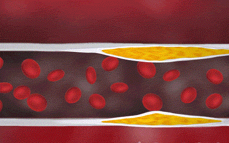 1721101500174896.gif DM_20240716113538_032.gif