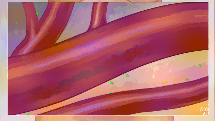 1721101520413293.gif DM_20240716113538_033.gif