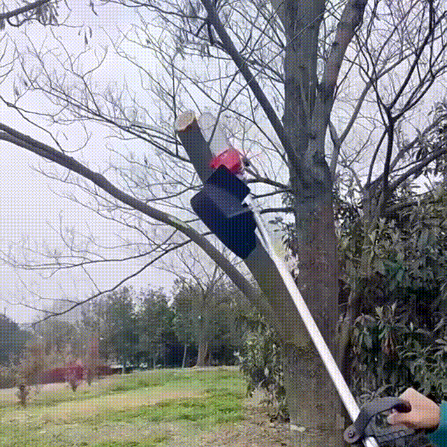 1722504493621724.gif