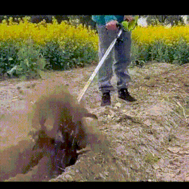 1724318636237601.gif