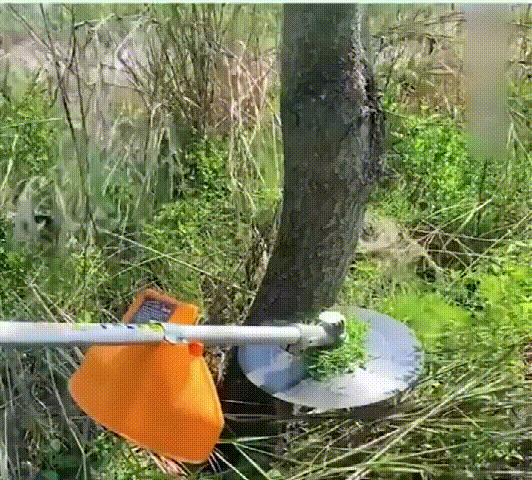 1724318670792398.gif