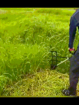 1724318686804998.gif